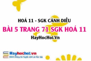 Bài 5 trang 71 SGK Hoá 11 Cánh diều